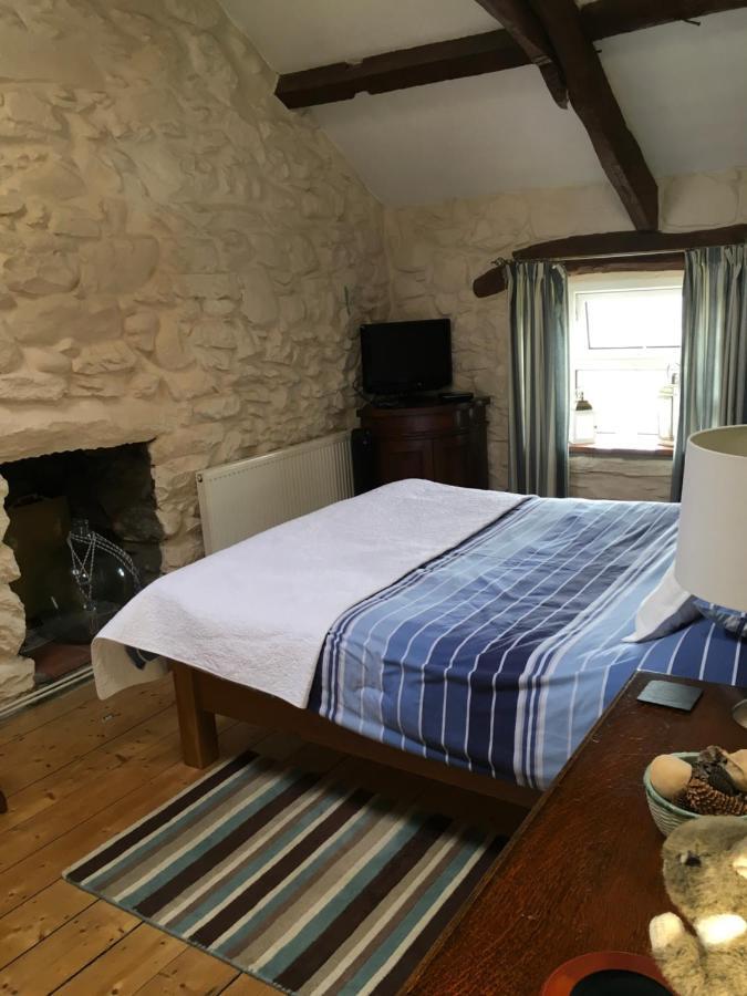 Hafod Boeth Villa Caernarfon Ngoại thất bức ảnh